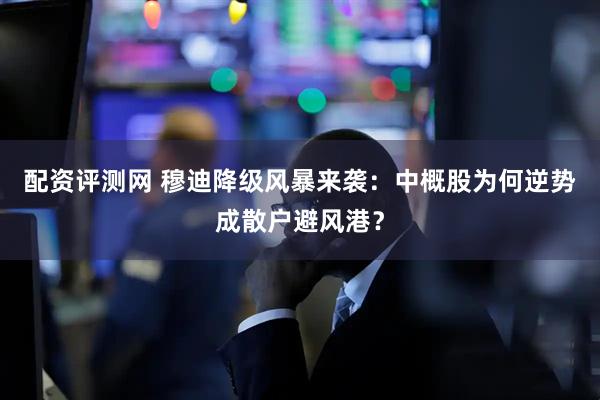 配资评测网 穆迪降级风暴来袭：中概股为何逆势成散户避风港？
